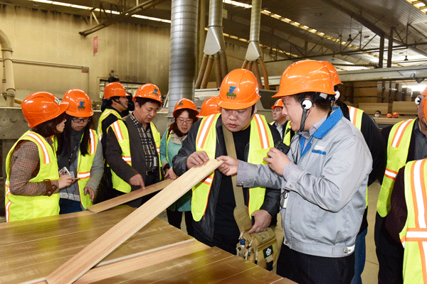 聚焦木制林產(chǎn)品專家學(xué)者、媒體走進大亞圣象考察采風(fēng)